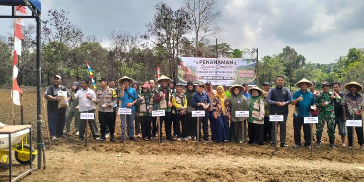 Wujudkan Ketahanan Pangan, Kelompok Tani Maju Jaya Kembali Tanam Padi