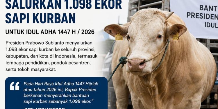 Idul Adha 2026, Presiden Prabowo Bagikan 1.098 Sapi Kurban Anggarannya Dari APBN