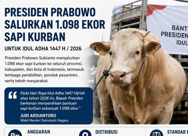 Idul Adha 2026, Presiden Prabowo Bagikan 1.098 Sapi Kurban Anggarannya Dari APBN