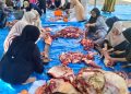 Universitas Aufa Royhan Tekankan Nilai Keikhlasan dan Kepedulian Sosial di Idul Adha 1447 H