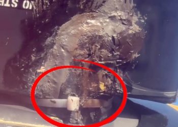 This Is Insane!” Unggahan WNA Soal Pesawat Lion Air di Bali Viral