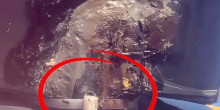 This Is Insane!” Unggahan WNA Soal Pesawat Lion Air di Bali Viral