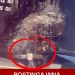 This Is Insane!” Unggahan WNA Soal Pesawat Lion Air di Bali Viral