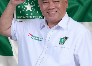 Aliwansah Ritonga Ketua DPC PKB Labura 2026-2031, Ini Kata Analis