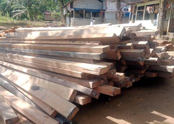 Ratusan Kubik Kayu Gelondongan Berserakan di Pelabuhan HTI Tapsel, Diduga Hasil Ilegal Logging