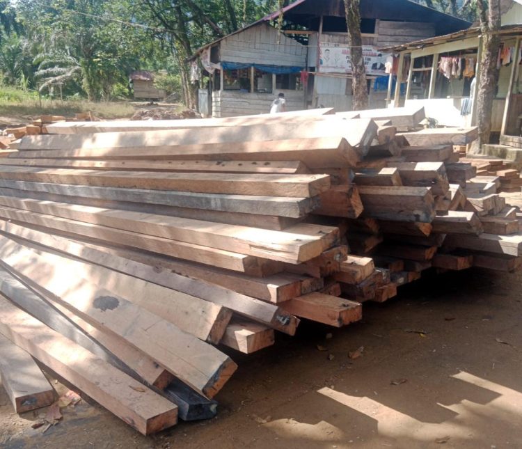 Ratusan Kubik Kayu Gelondongan Berserakan di Pelabuhan HTI Tapsel, Diduga Hasil Ilegal Logging
