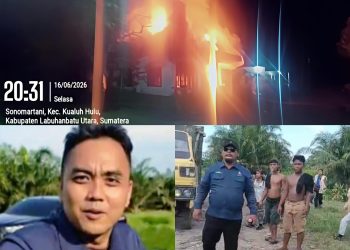 Tragis! Luis David Hutabarat Tewas di Area PT Agrinas, 4 Terduga Pelaku Termasuk Oknum TNI Ditangkap