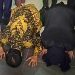 Sujud Syukur , Roy Suryo dan dr Tifa Tidak Ditahan Kejari Jaksel Usai Pelimpahan Tahap II