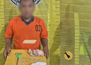 Satresnarkoba Polres Padangsidimpuan Tangkap Residivis Narkoba, Dua Paket Sabu Disita