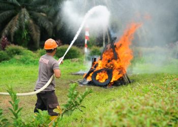 Kabut Asap Mulai Selimuti Kalimantan, PTPN IV PalmCo Perketat Patroli dan Mitigasi Karhutla di 4 Provinsi