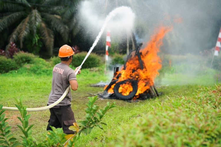 Kabut Asap Mulai Selimuti Kalimantan, PTPN IV PalmCo Perketat Patroli dan Mitigasi Karhutla di 4 Provinsi