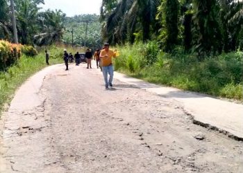 Kabar Baik ! Pemkab Labusel Bangun Jalan Strategis Rintis Ujung Padang Salingsing Senilai Rp21 Miliar