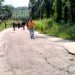 Kabar Baik ! Pemkab Labusel Bangun Jalan Strategis Rintis Ujung Padang Salingsing Senilai Rp21 Miliar
