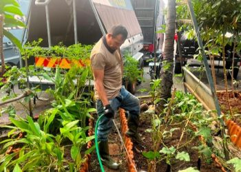 Brimob Polda Metro Jaya Rawat Lahan Produktif, Dukung Ketahanan Pangan Nasional