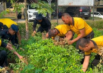 Brimob Metro Jaya Perlihatkan Hasil Nyata Program Ketahanan Pangan