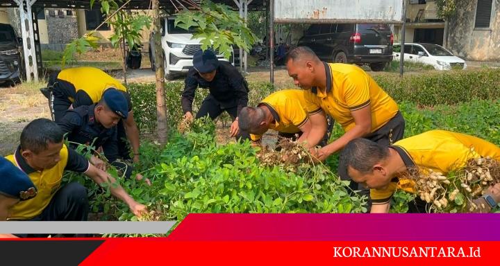 Brimob Metro Jaya Perlihatkan Hasil Nyata Program Ketahanan Pangan