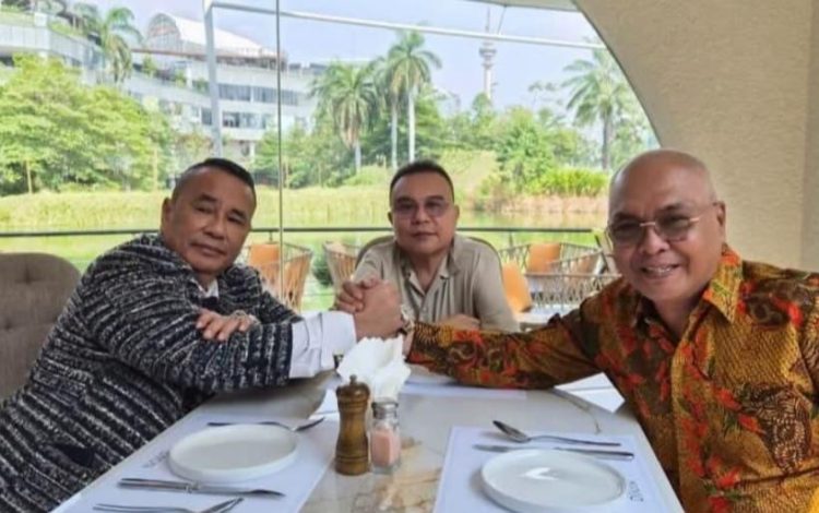 Amrullah Obara: Pertemuan Dasco Munir dan Hotman Paris Memunculkan Berbagai Tafsir Politik