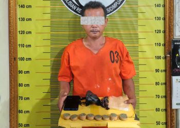 Satresnarkoba Polres Padangsidimpuan Tangkap Pria 47 Tahun Diduga Edarkan Ganja 53,82 Gram