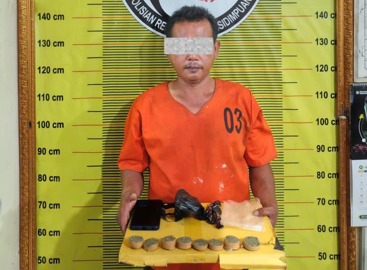 Satresnarkoba Polres Padangsidimpuan Tangkap Pria 47 Tahun Diduga Edarkan Ganja 53,82 Gram