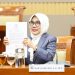 Dhifla Wiyani Terpilih Jadi Hakim Agung Kamar Pidana Bawa Gagasan Perkuat Praperadilan dan Independensi Peradilan