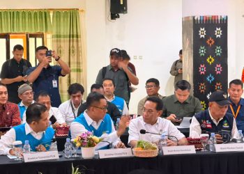 Pengamat Apresiasi Gercep PLN Pulihkan Listrik Pascagempa NTT: Bukti Negara Hadir untuk Masyarakat