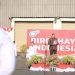 Bukan Sekadar Seremonial, OT Group Jadikan Upacara HUT ke-81 RI Bagian dari Budaya Perusahaan