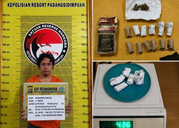 Satresnarkoba Polres Padangsidimpuan Amankan Pria Diduga Edarkan Ganja11 Paket Disita