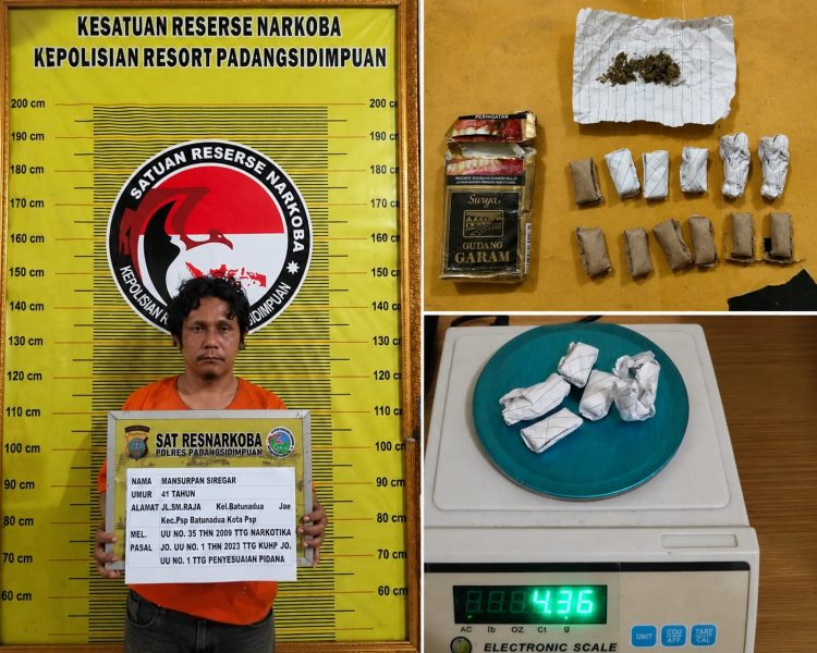 Satresnarkoba Polres Padangsidimpuan Amankan Pria Diduga Edarkan Ganja11 Paket Disita