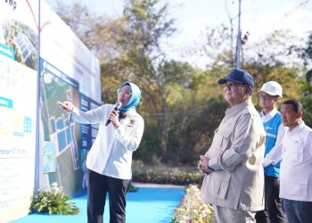 Pemerintah Luncurkan PLTS 100 GWp, Dukungan PLN Dinilai Percepat Kedaulatan Energi Nasional