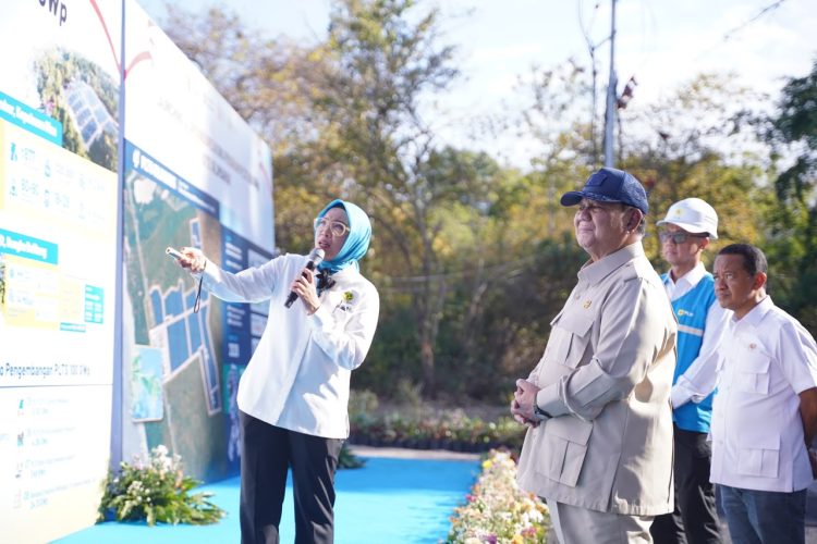 Pemerintah Luncurkan PLTS 100 GWp, Dukungan PLN Dinilai Percepat Kedaulatan Energi Nasional