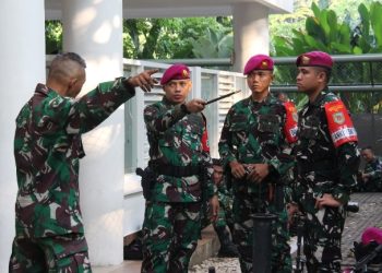 Danyon SSY IV (Danyonif 14 Marinir) BKO Paspampres Tinjau Langsung Prajurit yang Laksanakan Pengamanan Objek Vital