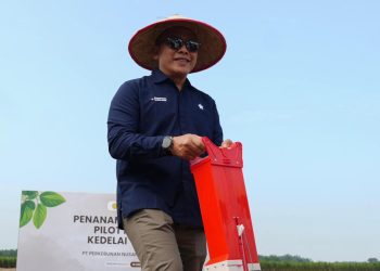 Misi Tekan Import, PTPN IV PalmCo Mulai Pilot Project Kedelai 1.000 Ha
