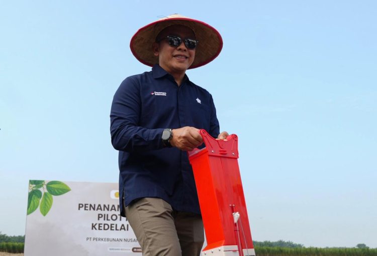 Misi Tekan Import, PTPN IV PalmCo Mulai Pilot Project Kedelai 1.000 Ha