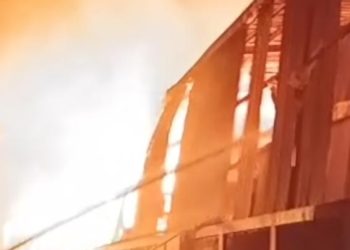 Kebakaran Hebat Landa PT Surya Lestari di Lippo Cikarang