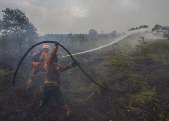 PTPN IV PalmCo Perkuat Jaring Pengaman Sosial, Ratusan Pekerja Rentan Kalbar Terima Jaminan Ketenagakerjaan