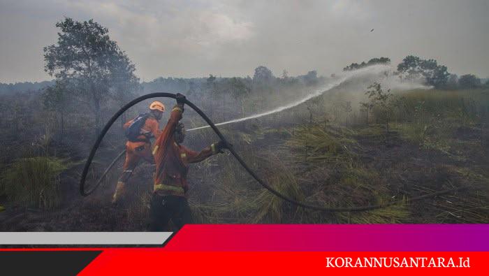 PTPN IV PalmCo Perkuat Jaring Pengaman Sosial, Ratusan Pekerja Rentan Kalbar Terima Jaminan Ketenagakerjaan