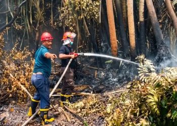 Antisipasi Karhutla, PTPN IV PalmCo Perkuat Deteksi Dini dan Patroli di Sumatera-Kalimantan
