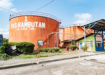 Perkuat Tata Kelola dan Standar Global, PTPN IV Akselerasi Sertifikasi Ratusan Kebun dan PKS di Seluruh Regional