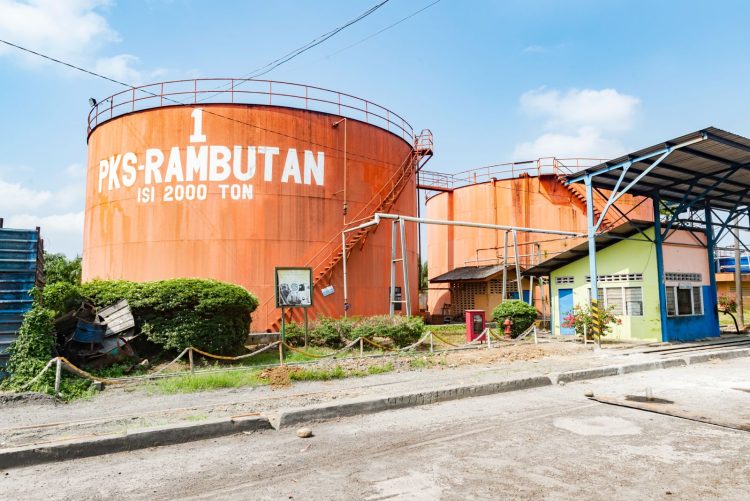 Perkuat Tata Kelola dan Standar Global, PTPN IV Akselerasi Sertifikasi Ratusan Kebun dan PKS di Seluruh Regional