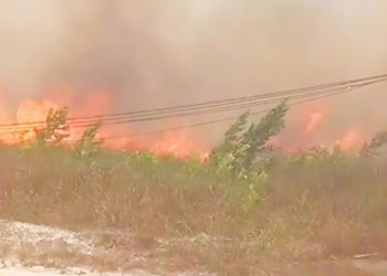 Karhutla di Sungai Kapitan Meluas Diduga Ada Unsur Kesengajaan APH Diminta Selidiki