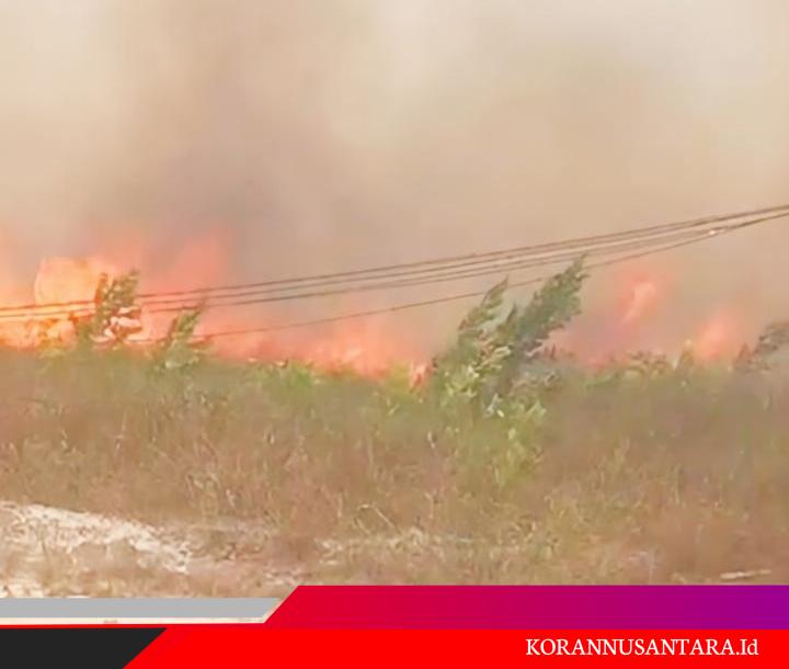 Karhutla di Sungai Kapitan Meluas Diduga Ada Unsur Kesengajaan APH Diminta Selidiki