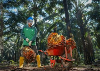 Bukan Sekadar Mutu, PalmCo Mampu Pastikan Asal-usul CPO