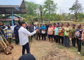 Tim Ekspedisi Patriot IPB University Latih Warga Merauke Kembangkan Pembibitan Sagu dengan Metode Kolam