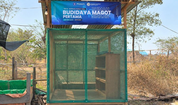 Kampung Harapan Makmur Kembangkan Rumah Maggot untuk Perkuat Budidaya Lele Warga