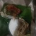 41 Santri Diduga Keracunan Usai Peringatan Hari Santri di Deli Serdang, Ikan Nila Berlendir Disorot