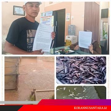 Puluhan Juta Rupiah Kerugian Diklaim Pembudidaya Ikan, SPPG Gedung Johor 4 Dilaporkan